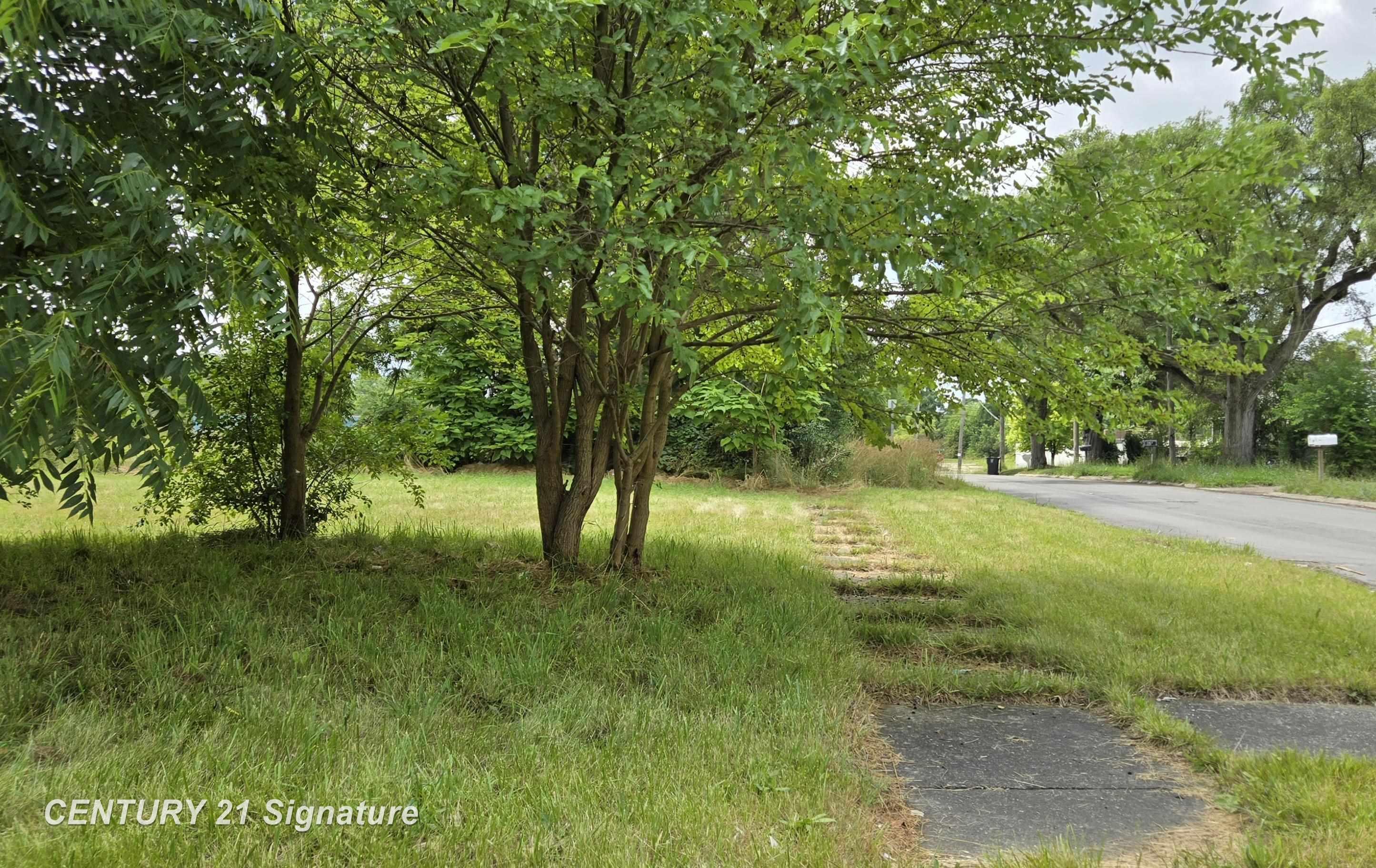 Property Photo:  Donaldson Street  MI 48504 