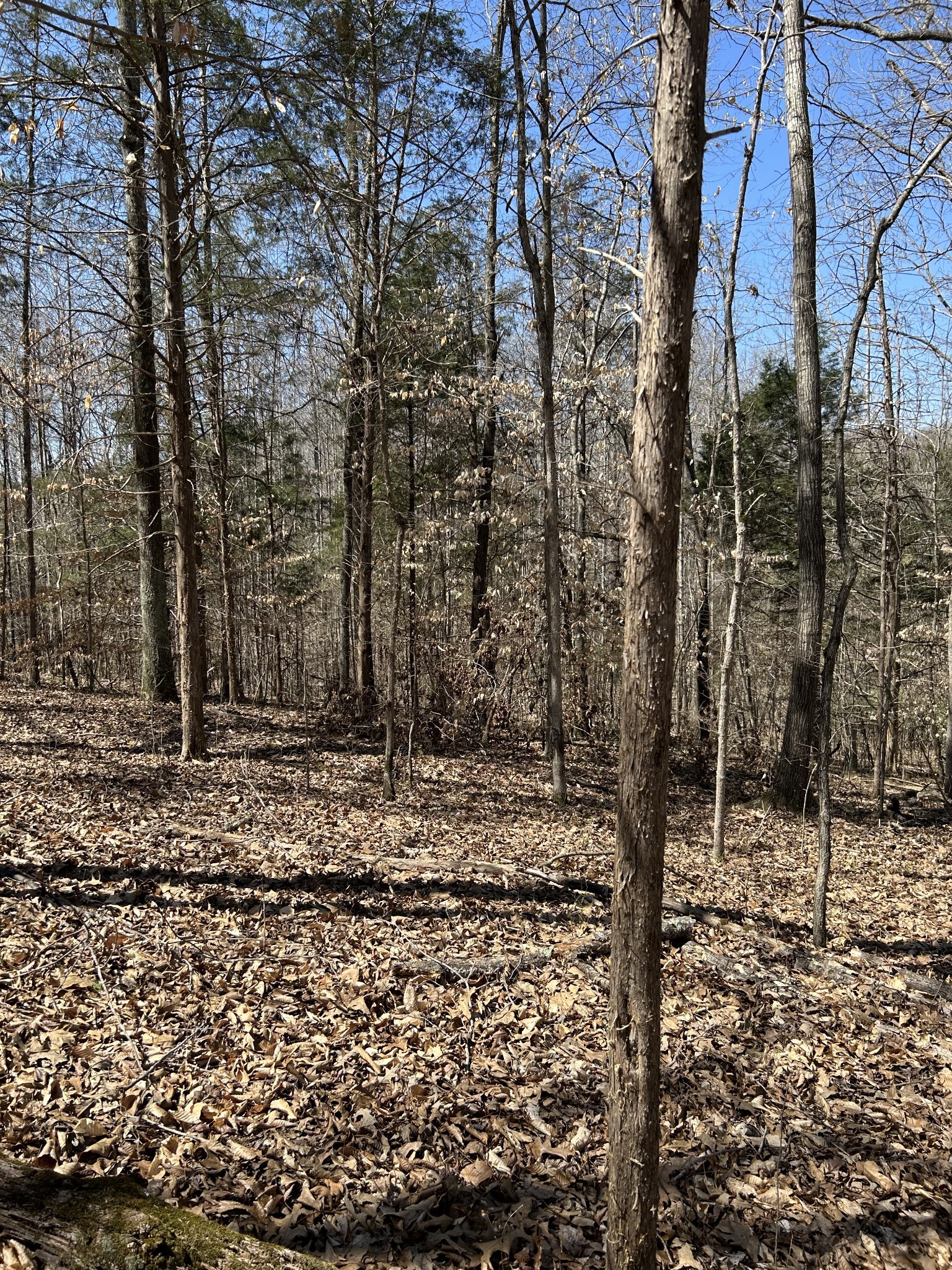 Property Photo:  820 Lucas Rd  TN 37055 