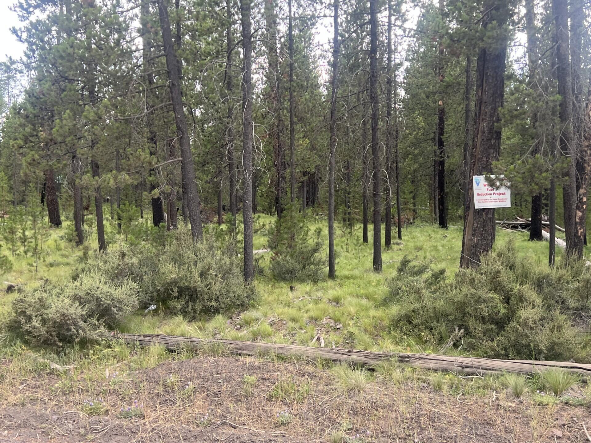 Property Photo: 55975 Savage Drive OR 97707