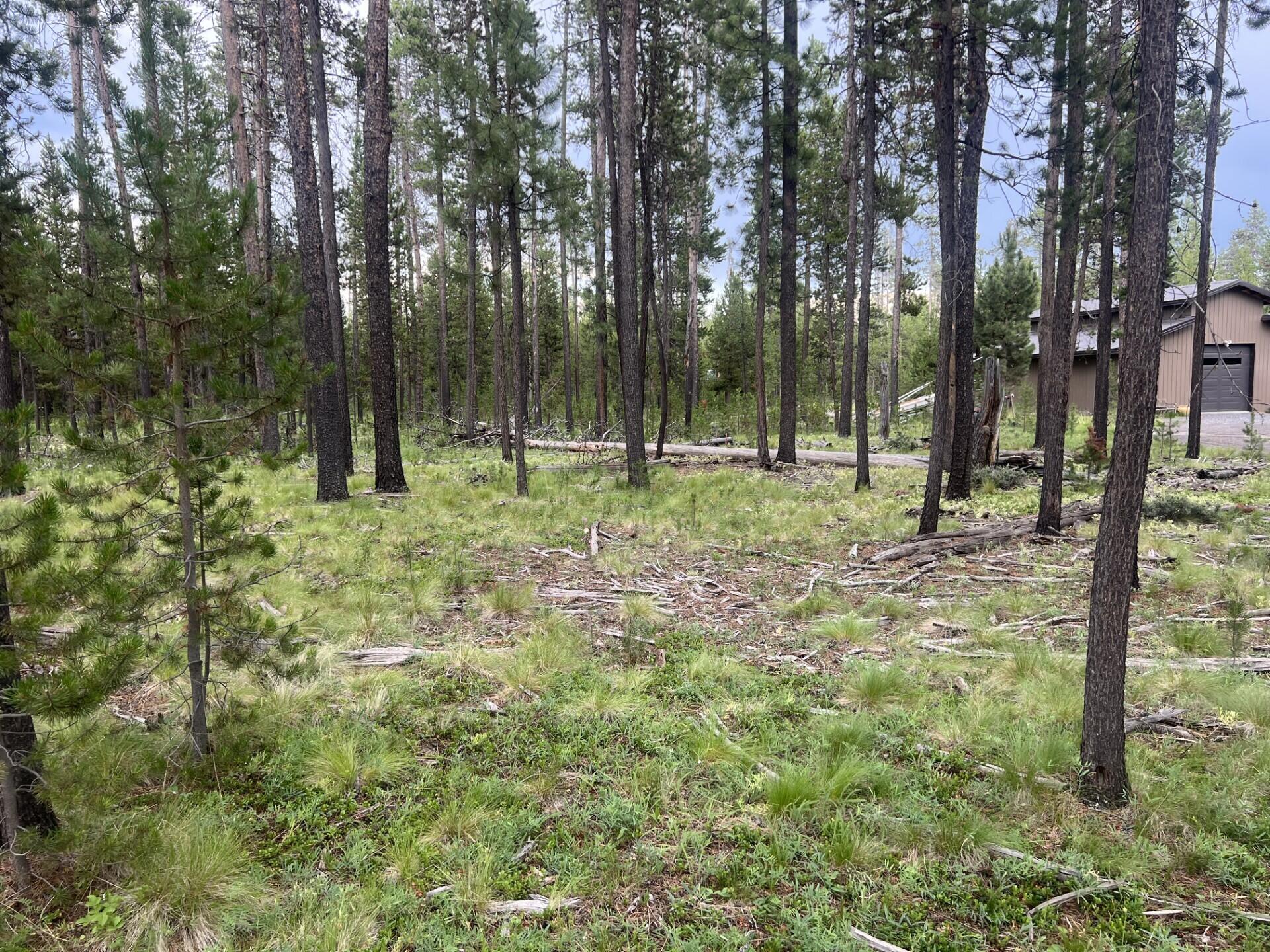 Property Photo: 55970 Browning Drive OR 97707