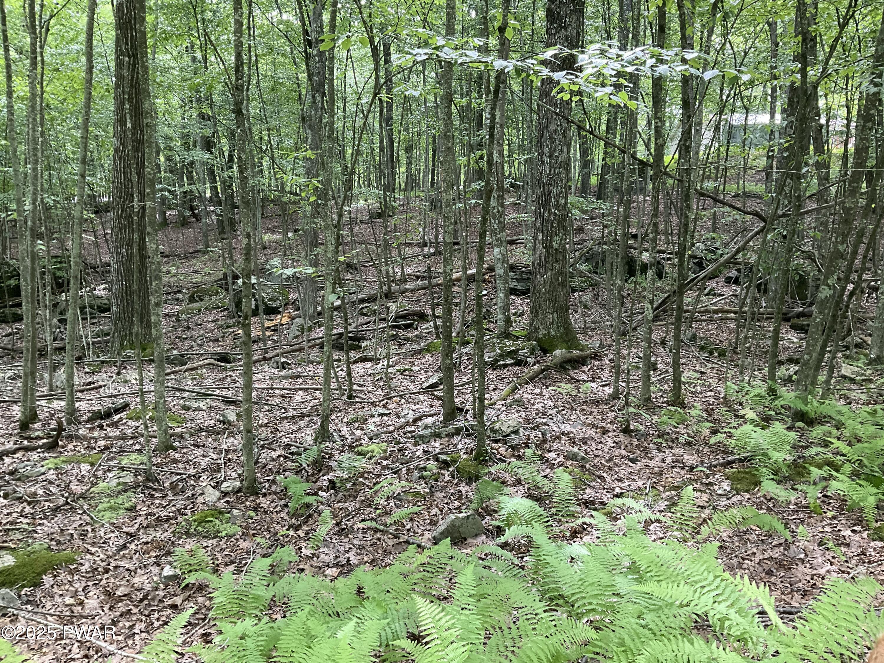 Property Photo: Lot 92 Stone Drive PA 18428