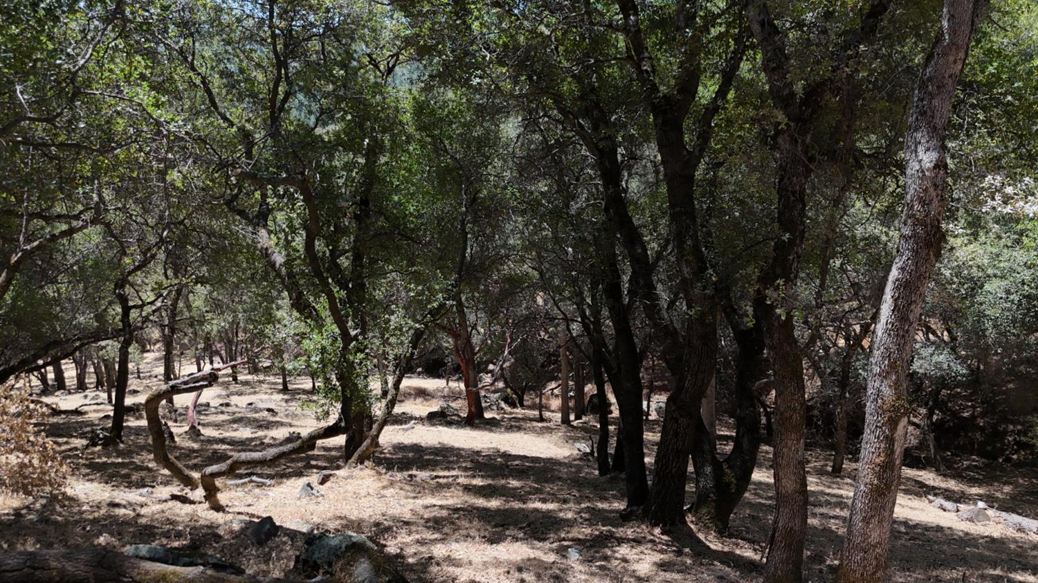Property Photo: 18579 Song Sparrow Court CA 95946