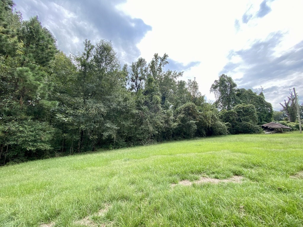 Property Photo: 346 Cr 470 TX 75944