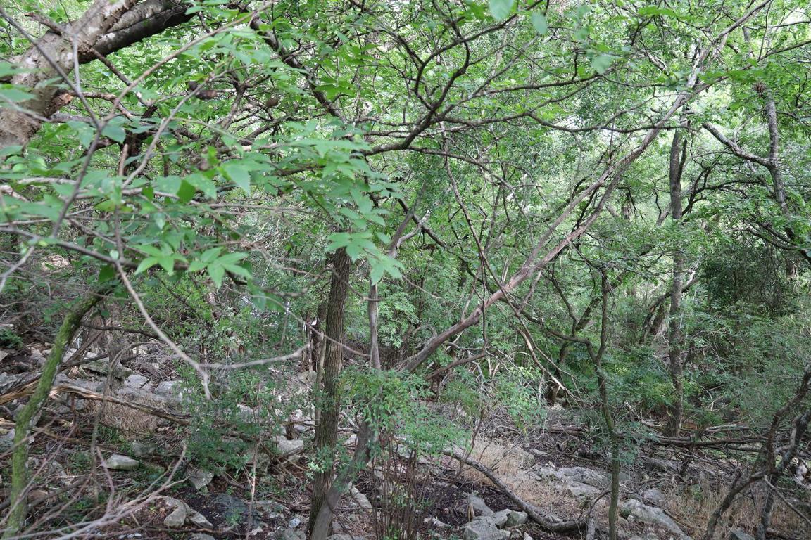 Property Photo: 8908 Spring Lake Drive TX 78750
