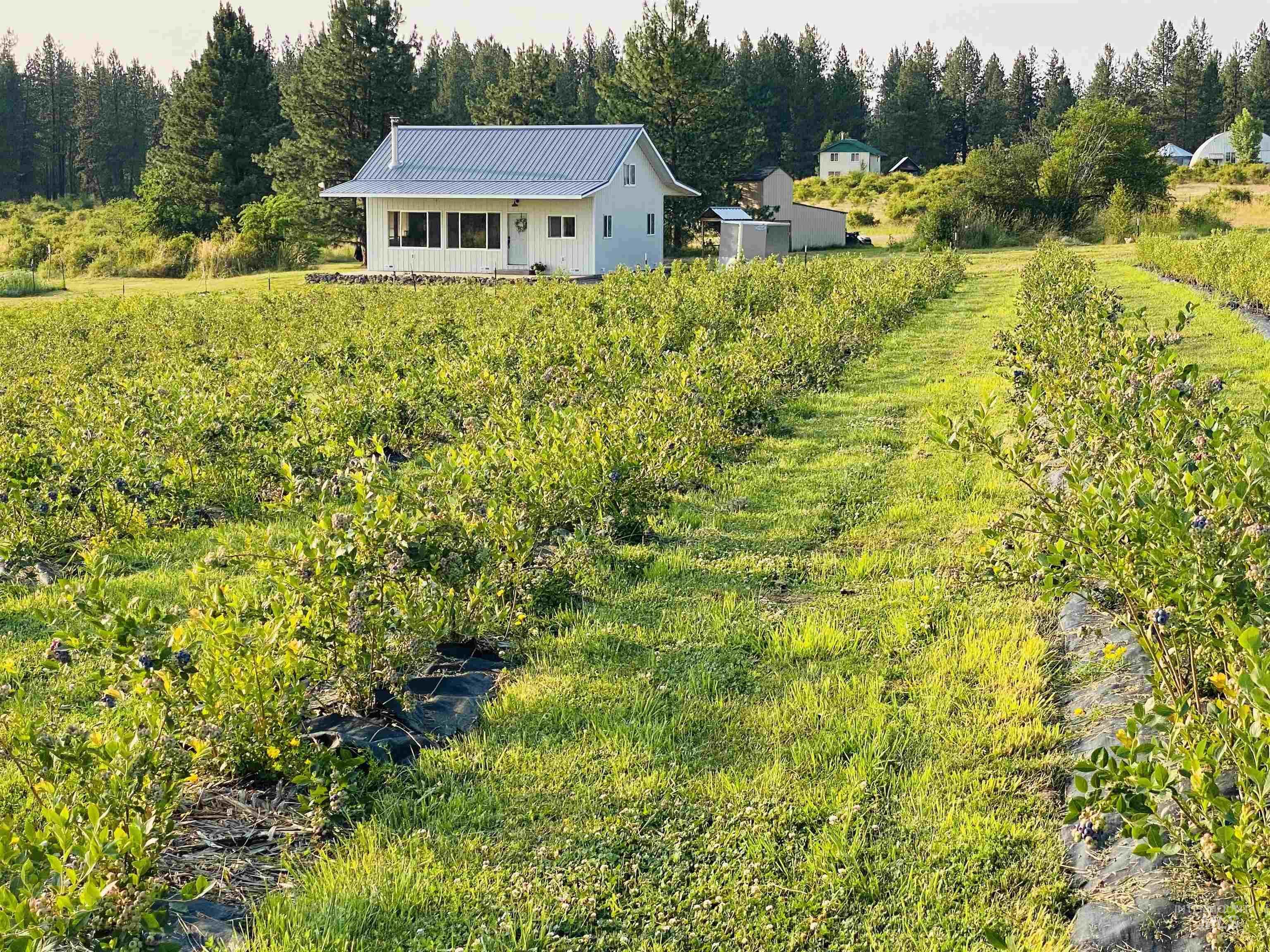 Property Photo: 110 Abiding Way ID 83536
