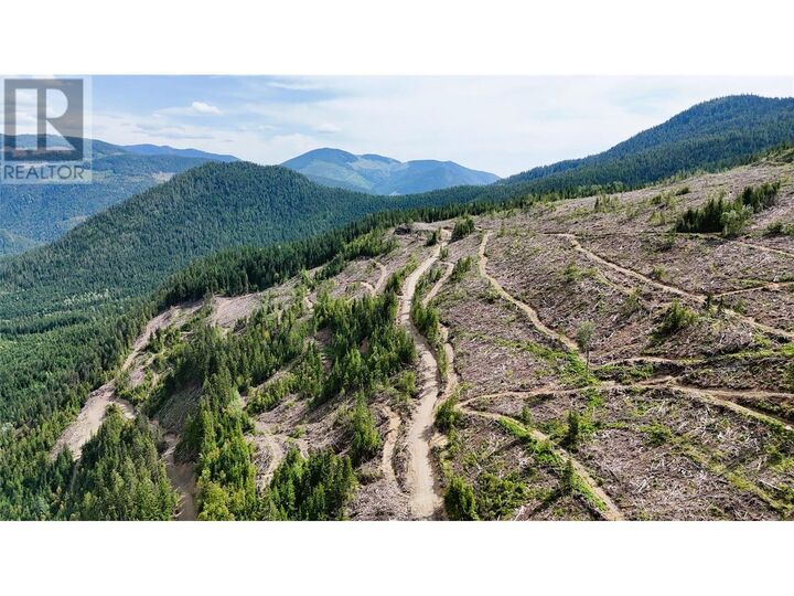 Property Photo:  Quartz Creek Forest Service Road Road  BC V0G 2K0 