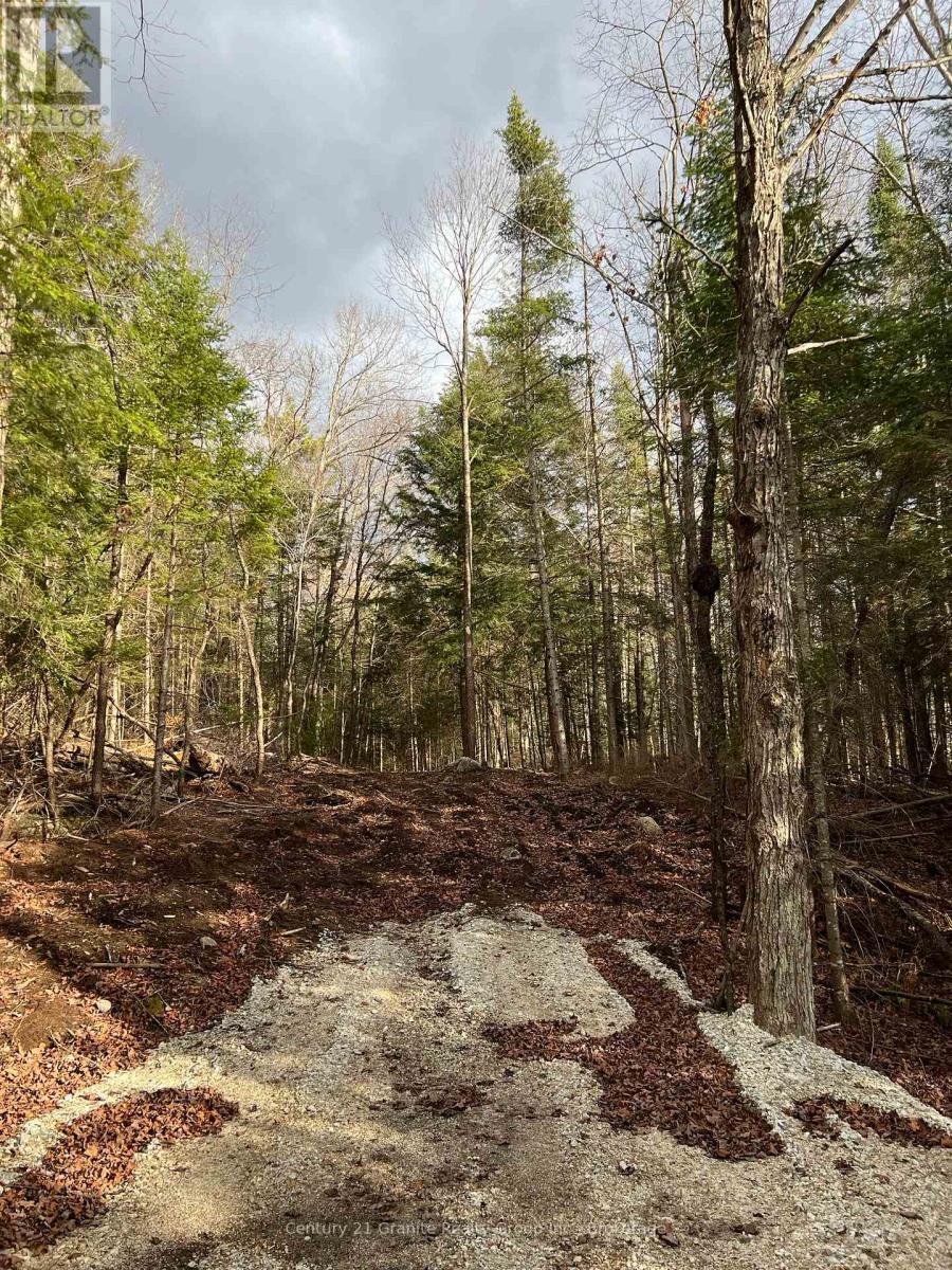 Property Photo:  Lot 27 Bushwolf Lake Road  ON K0M 1S0 
