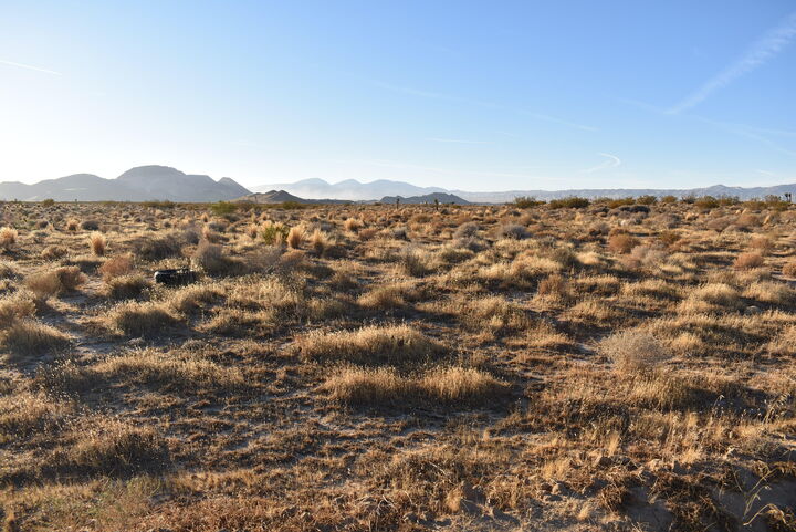 Property Photo:  15th St E &Amp Vic Reed Ave  CA 93501 