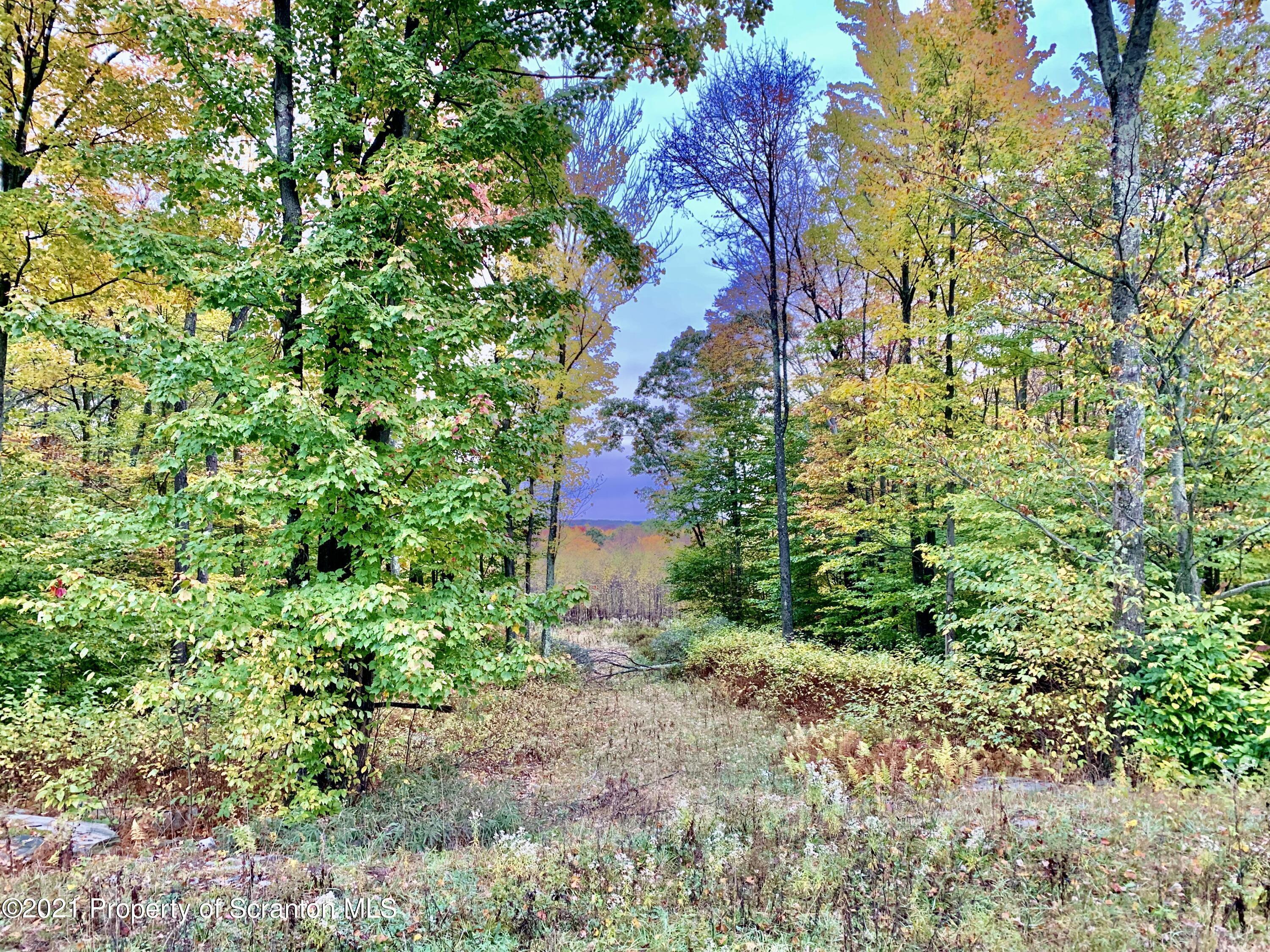 Property Photo: 449 Summit Woods PA 18444