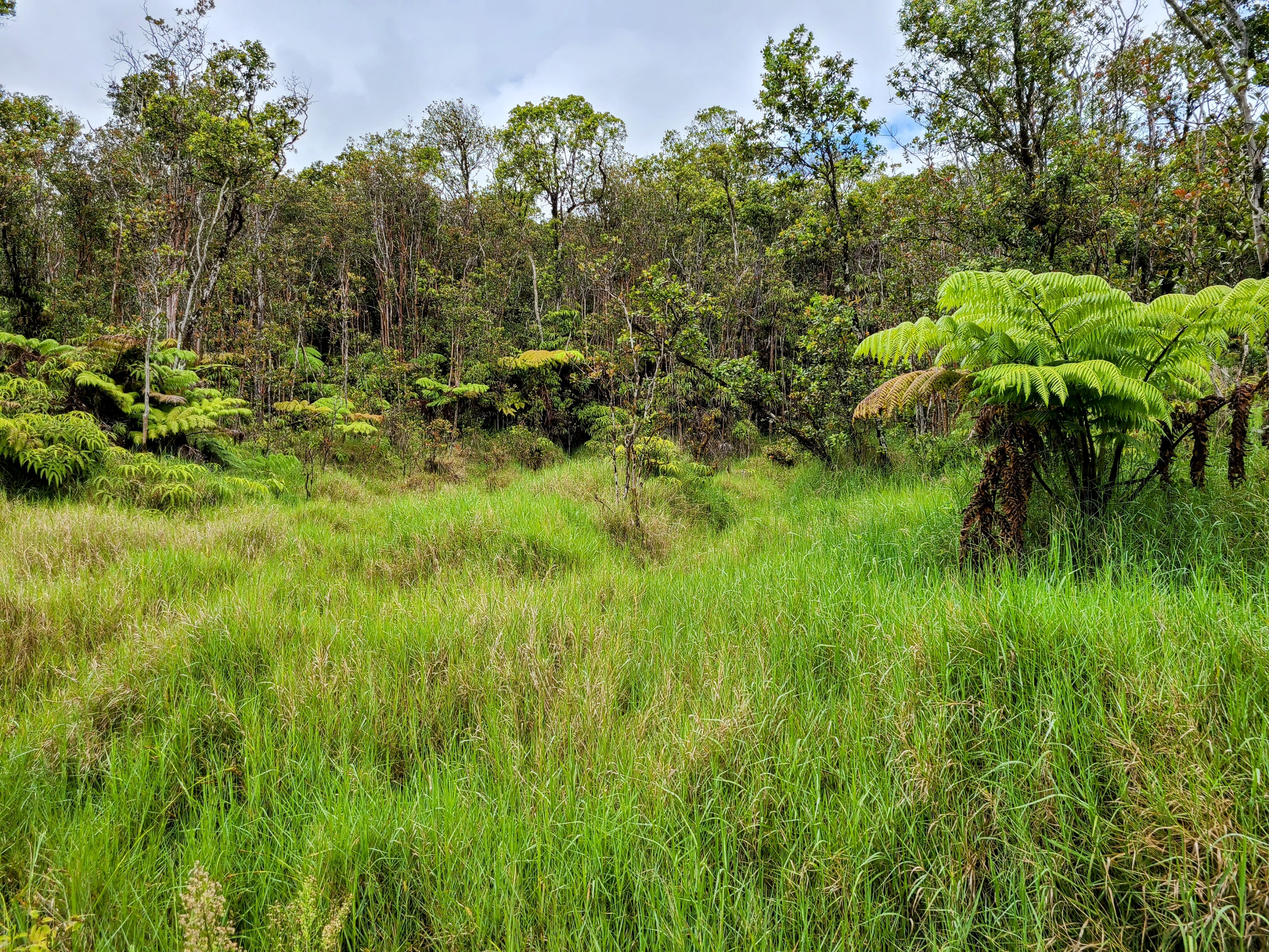 Property Photo:  Road 7  HI 96785 