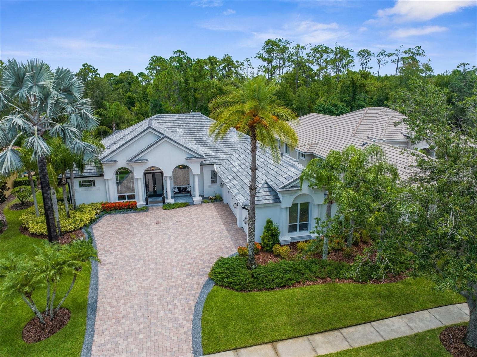 14705 Castelletto Drive  Tampa FL 33626 photo