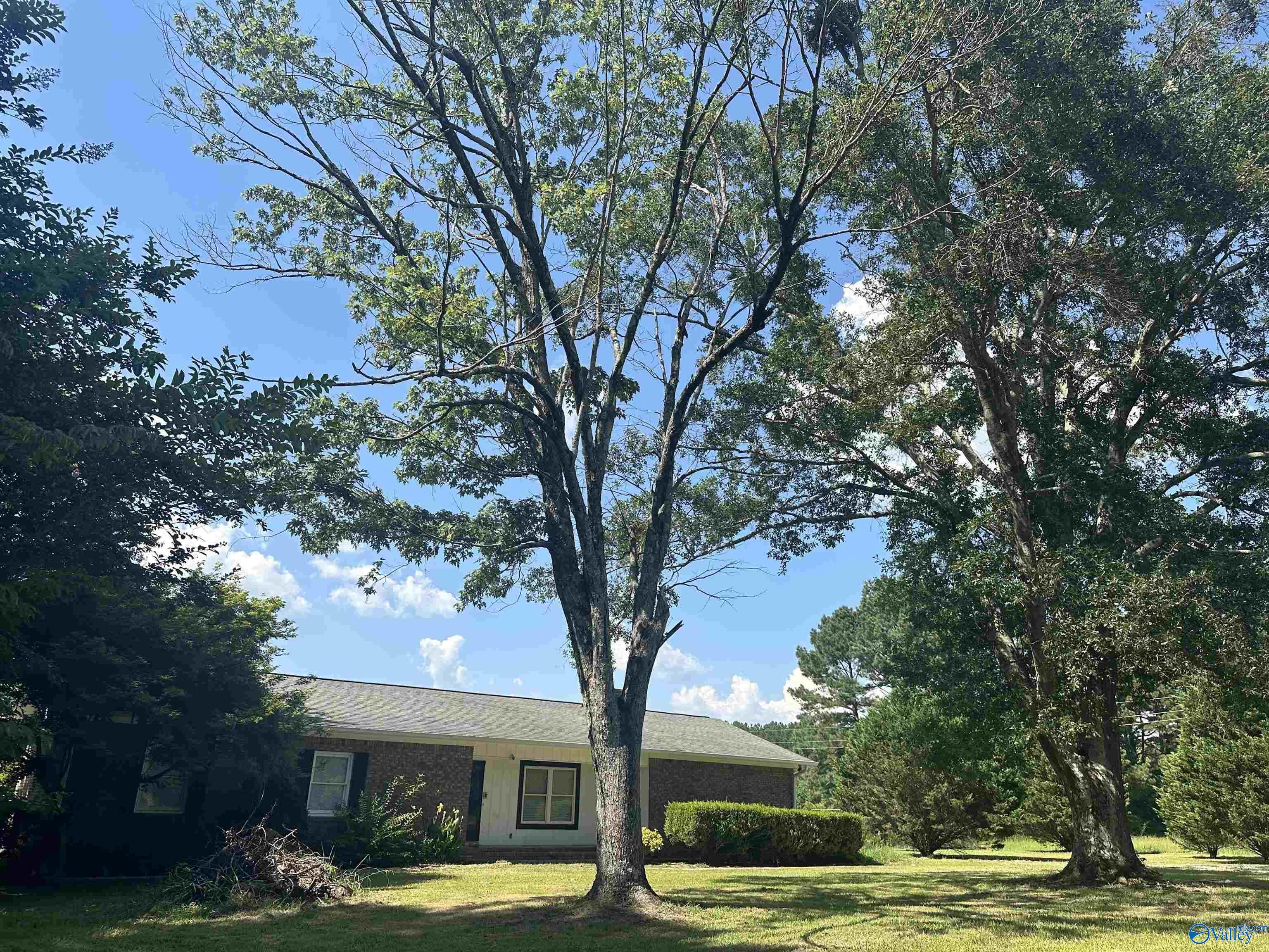 Property Photo: 3032 McClain Circle AL 35904