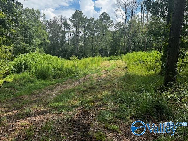 128 Savannah Circle  Cherokee Ridge AL 35175 photo