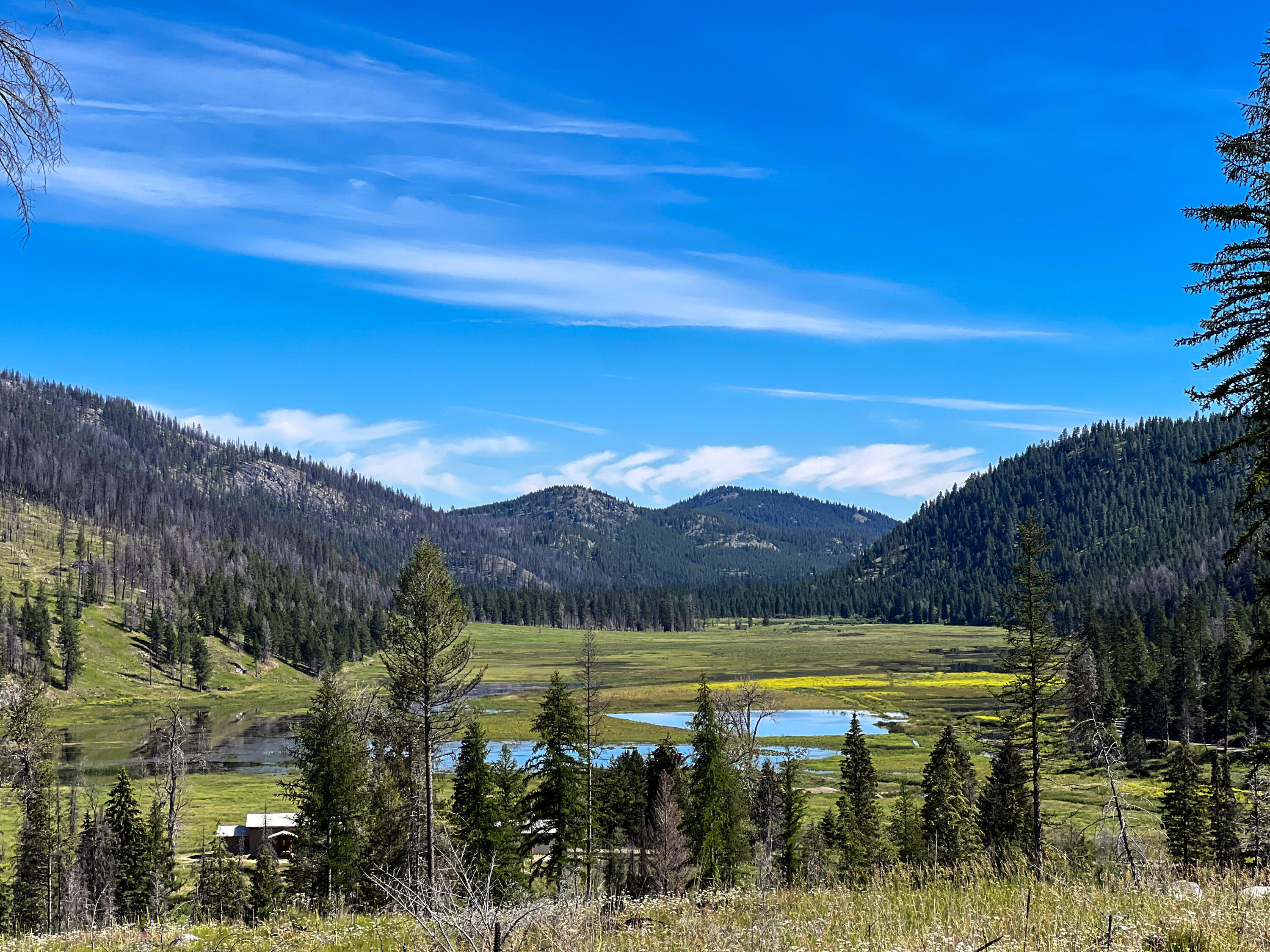Property Photo:  Tbd Bonaparte Lake Rd  WA 98859 