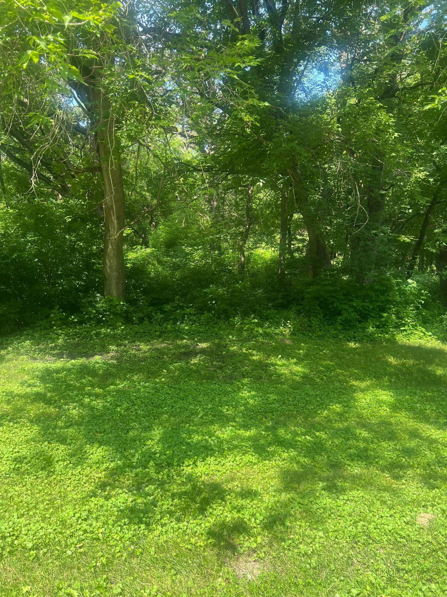 Property Photo: Tbd Lot 2 Envelope 2 Baycrest Road MN 56334