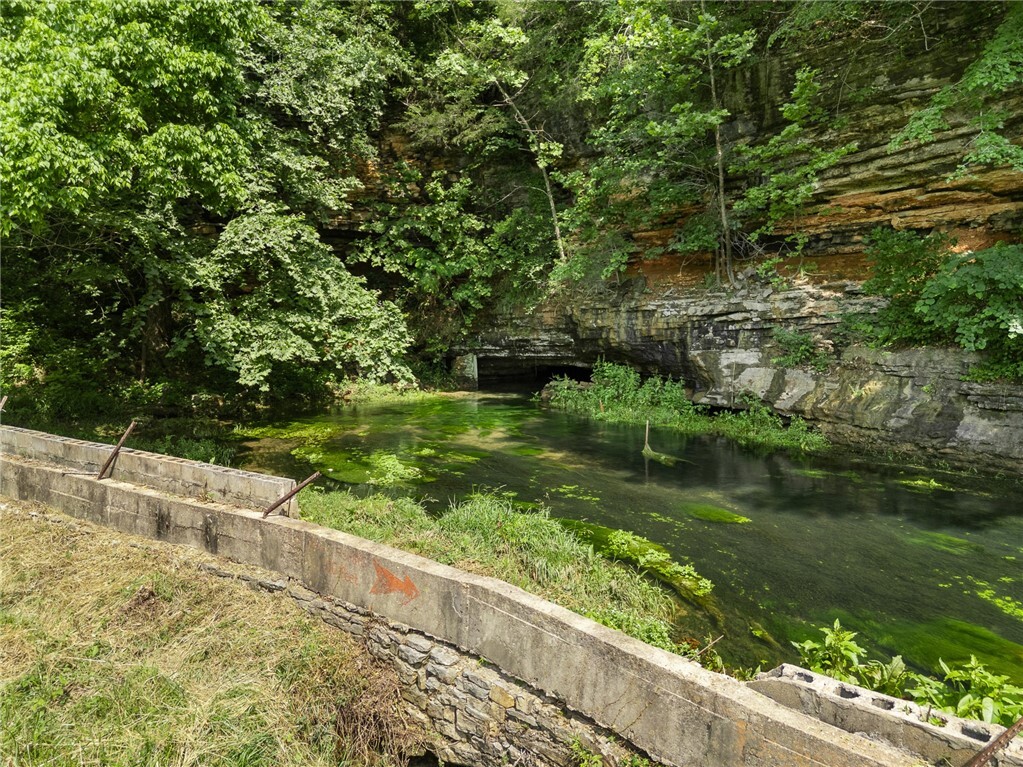 Property Photo:  275 Devitos Loop  AR 72601 