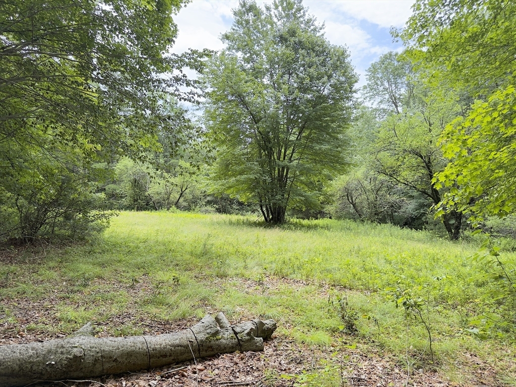 Property Photo: 0 John Ford Road MA 01330