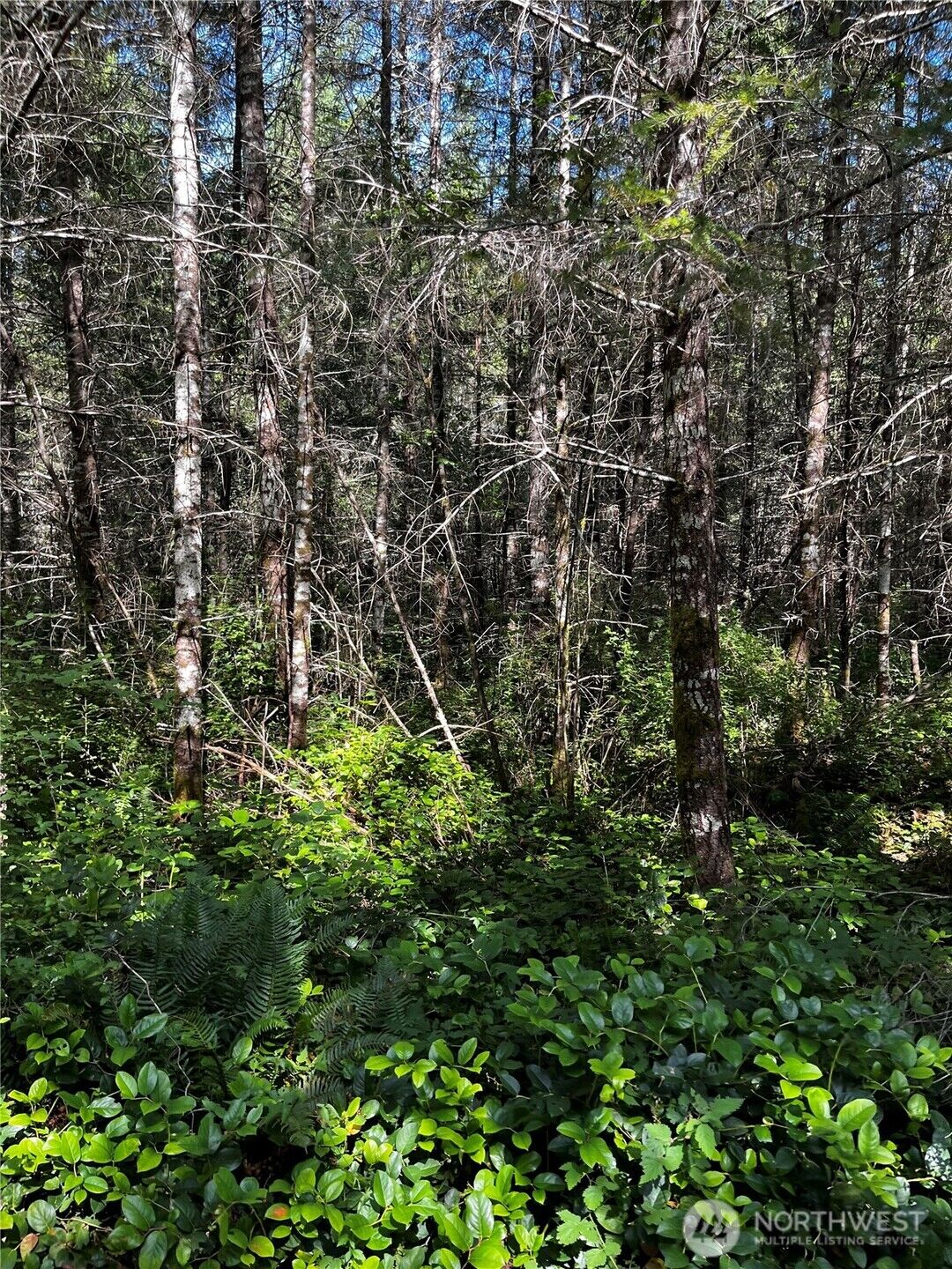 Property Photo: 0 Xxx Perry Avenue WA 98310