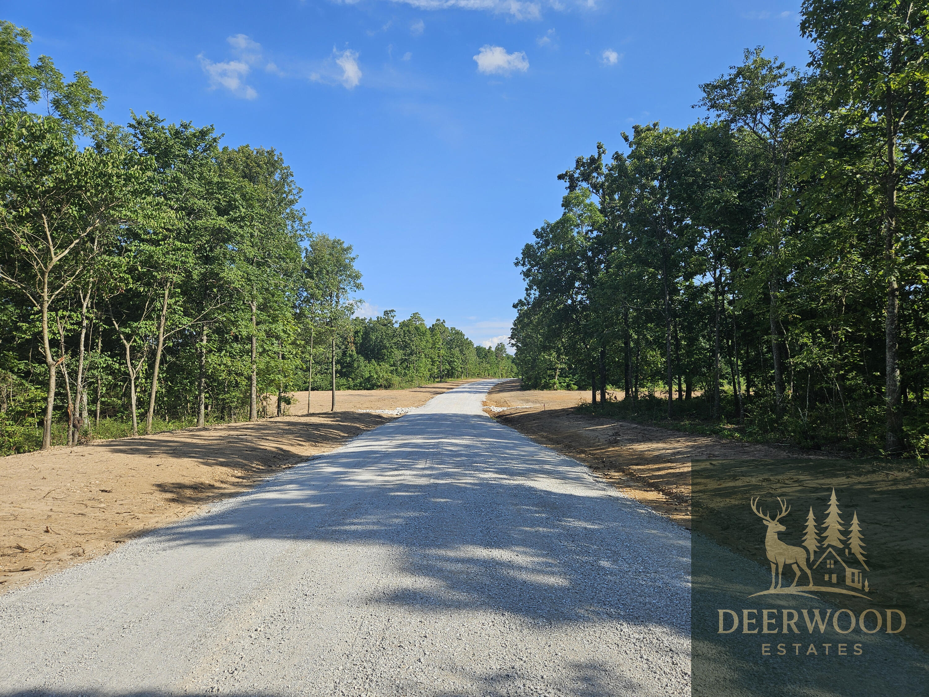 Lot 11 Deerwood Estates  Aurora MO 65605 photo