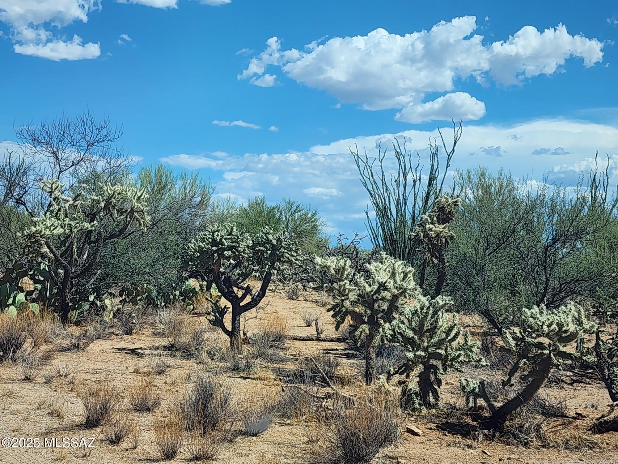 Property Photo: 16093 W Montrose Avenue 185 AZ 85736