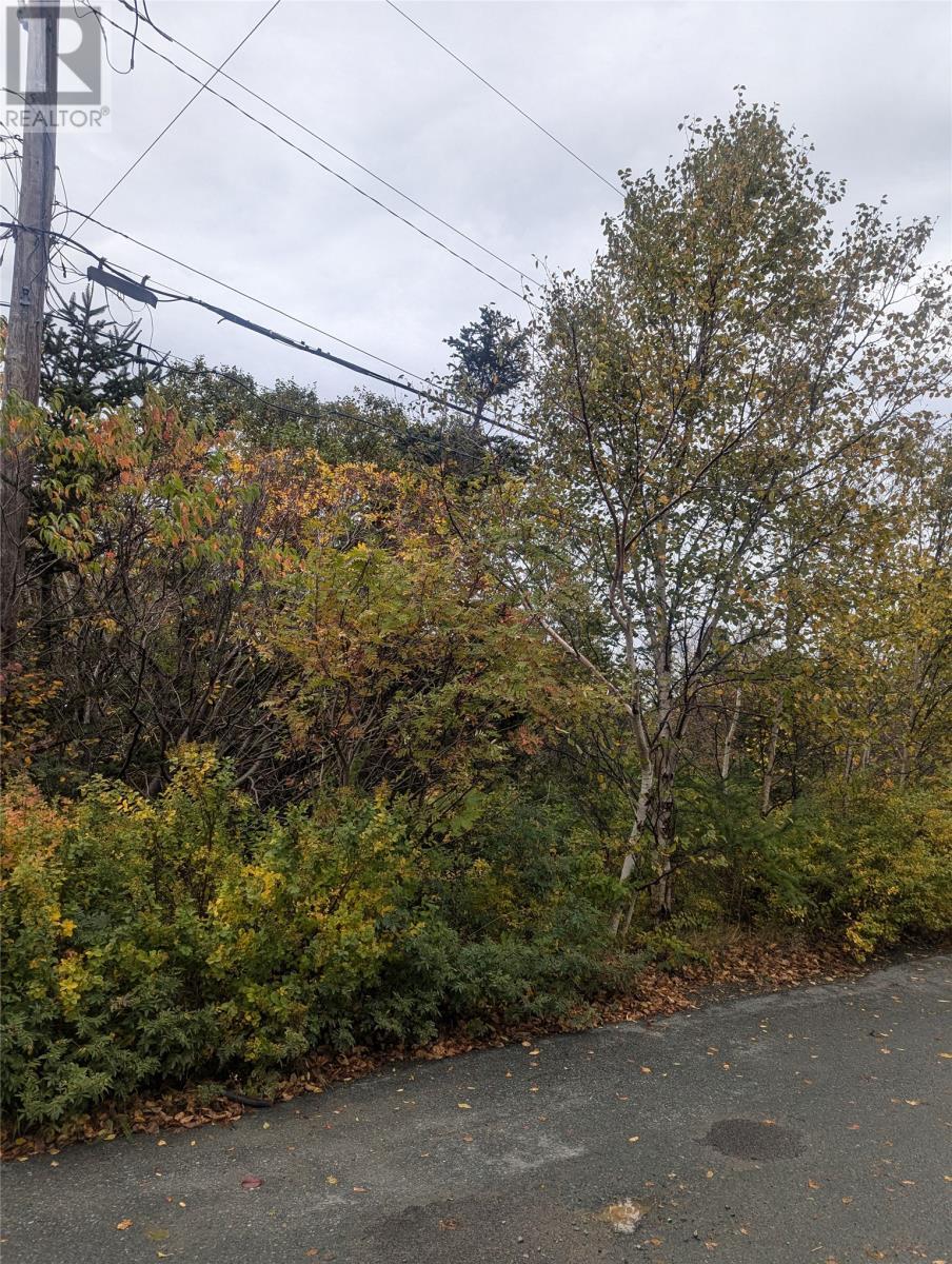 Photo de la propriété:  6-10 Parsons Place  NL A1X 7B9 