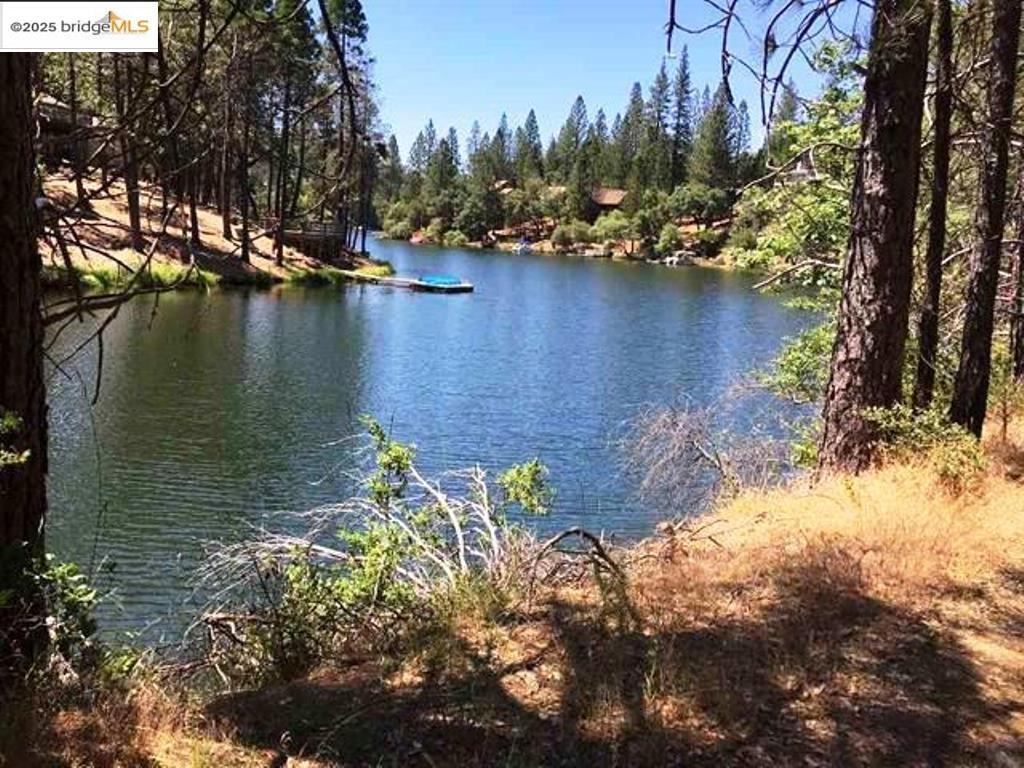 Property Photo: 20158 Pine Mountain CA 95321