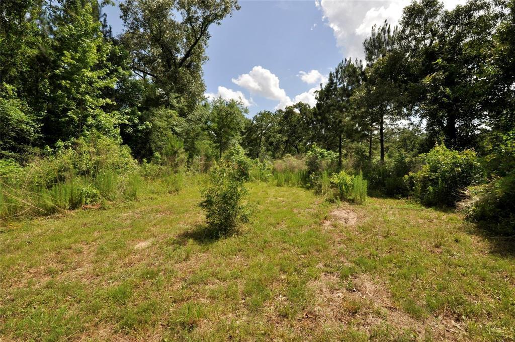 Property Photo: 26150 Grand Pines Road TX 77355
