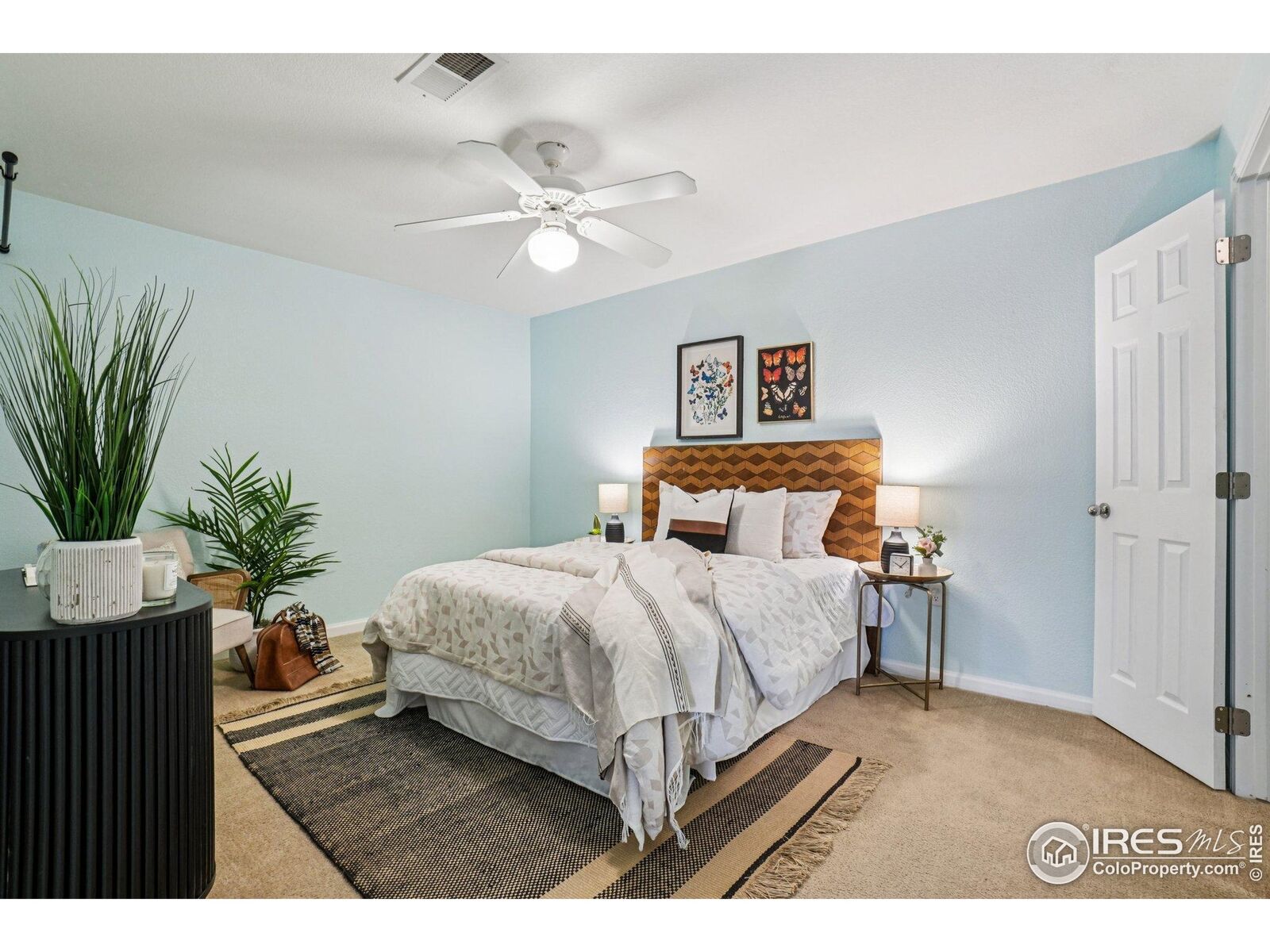 Property Photo: 5620 Fossil Creek Pkwy 6303 CO 80525