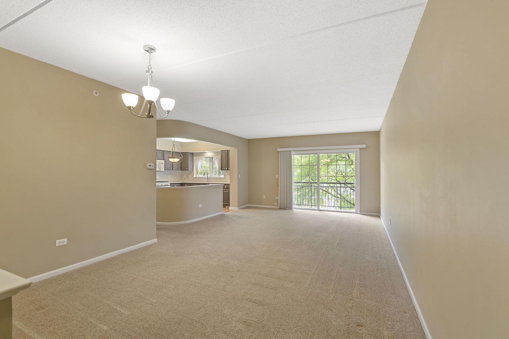 Property Photo: 124 W Colfax Street 301 IL 60067