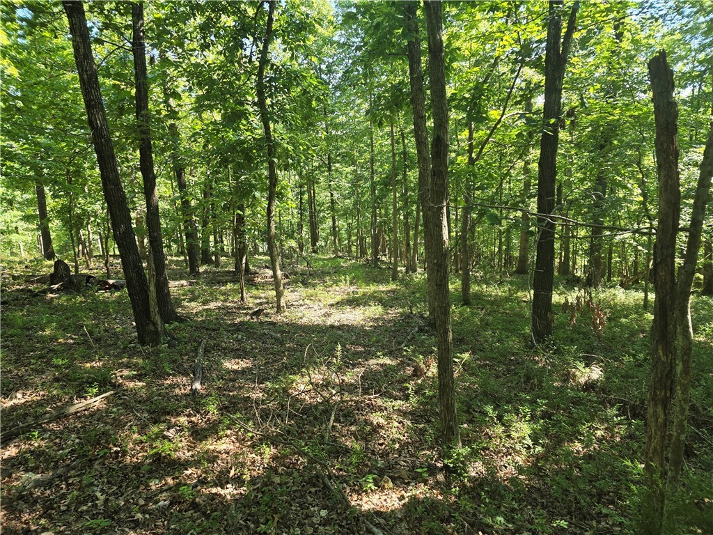 Property Photo:  Esculapia Hollow Road Lot 7  AR 72758 