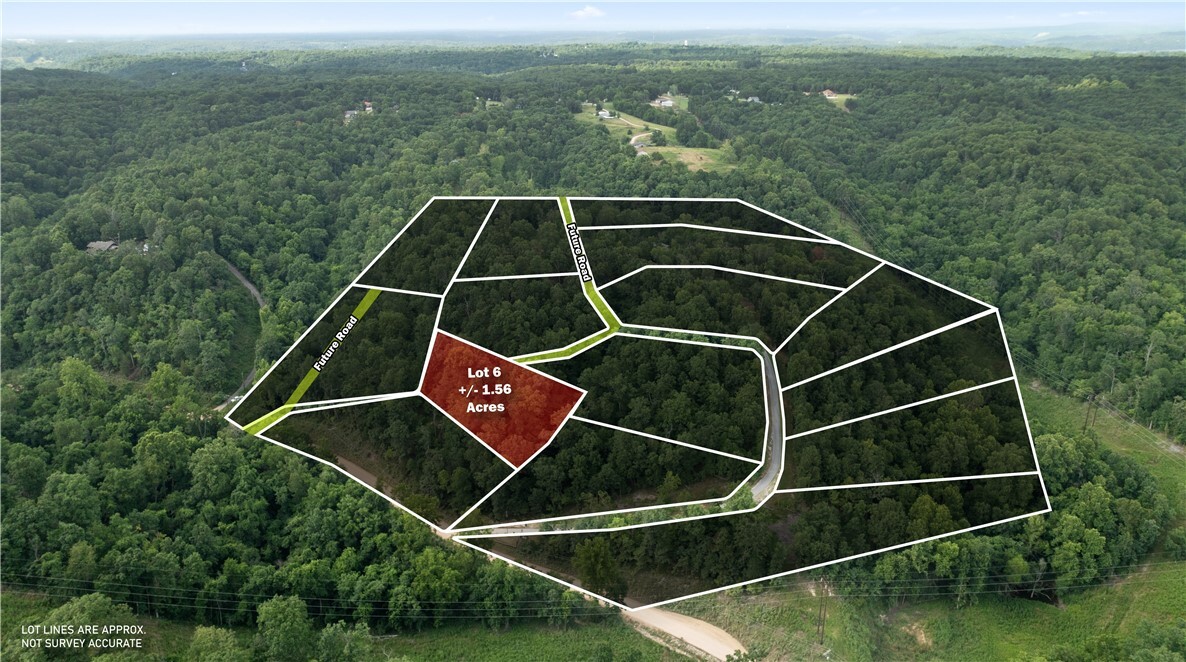 Esculapia Hollow Road Lot 6  Rogers AR 72758 photo