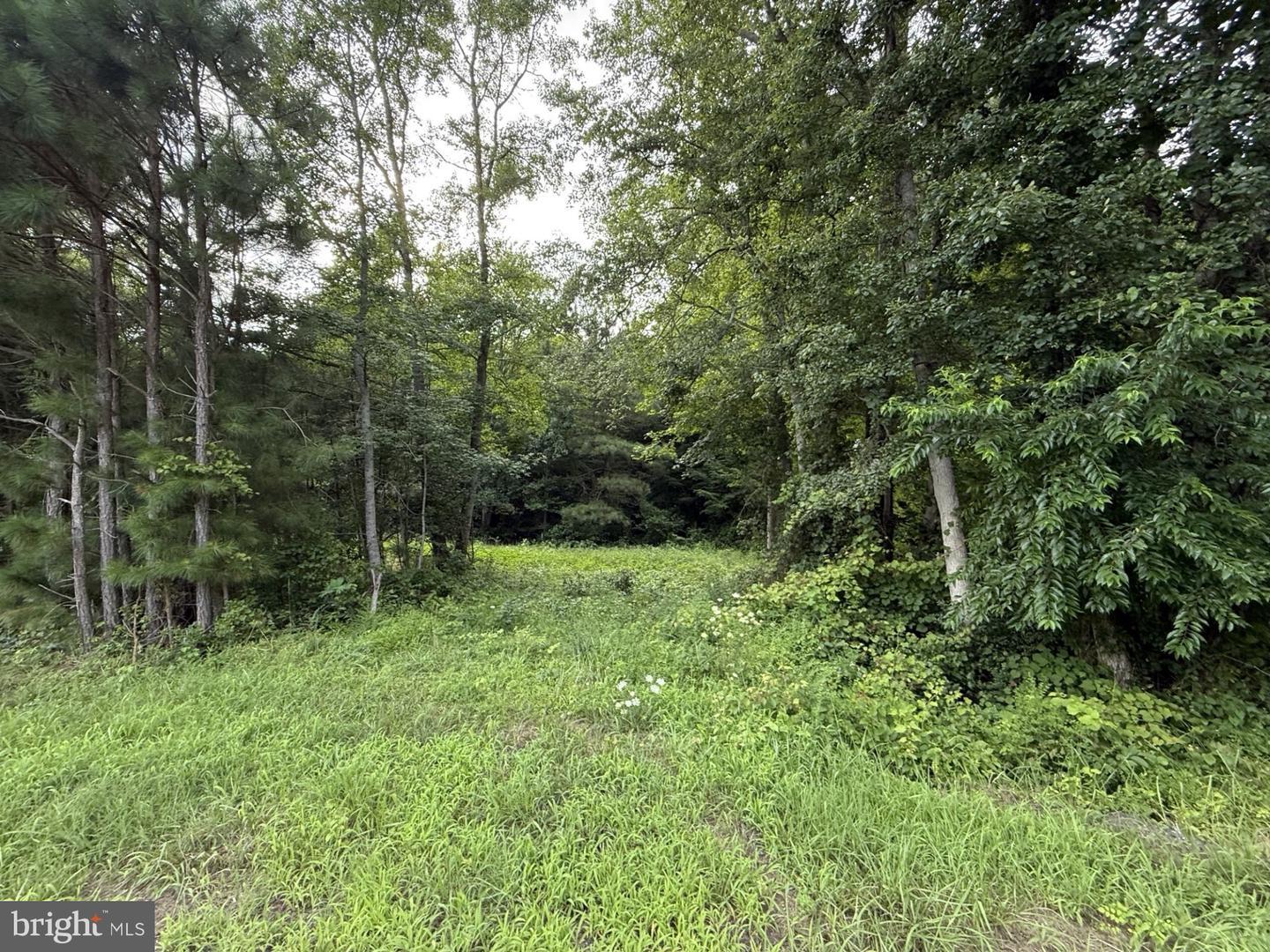 Property Photo: 7613 Acorn Road MD 21841
