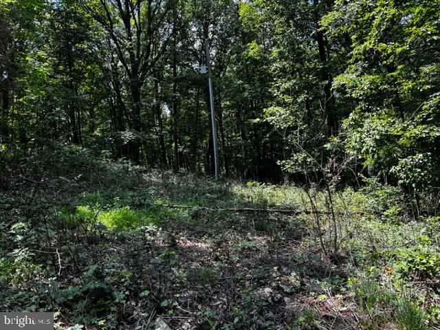 Property Photo:  Alonzaville Rd.  VA 22644 