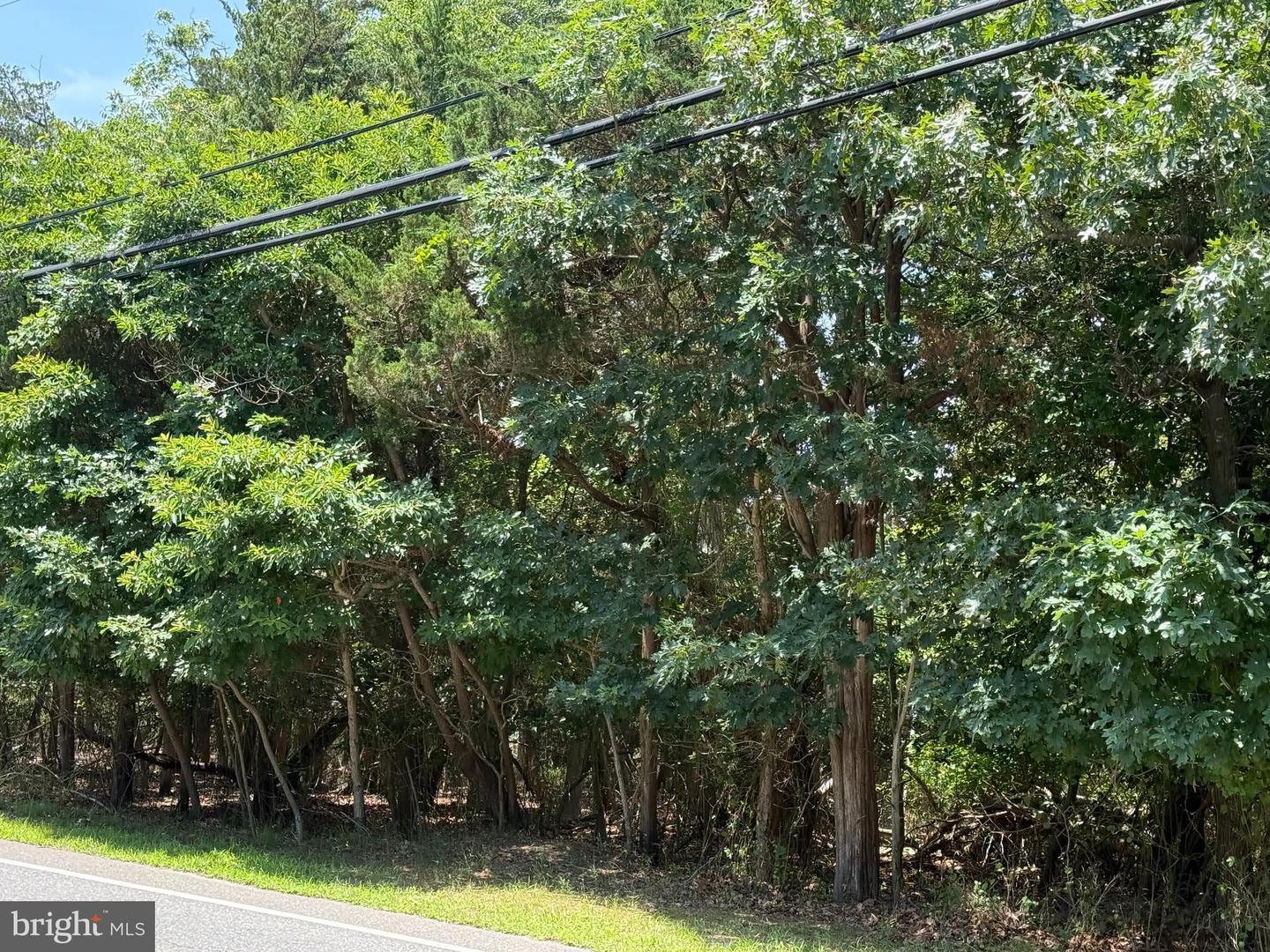 Property Photo: 1298 Radio Road NJ 08087