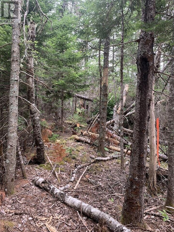 Property Photo:  Vv2 Lot 2 Hunter Road  NS B0M 1Z0 