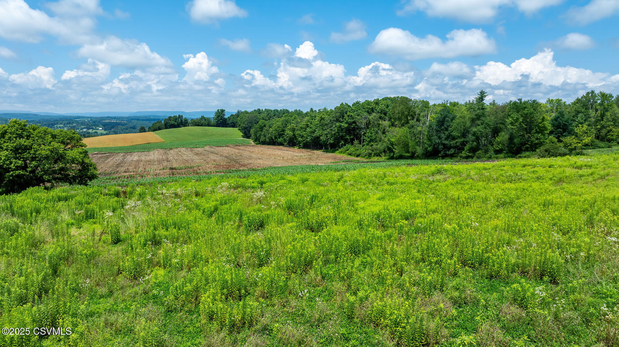 Property Photo:  225 Cherry Hill Road  PA 18655 