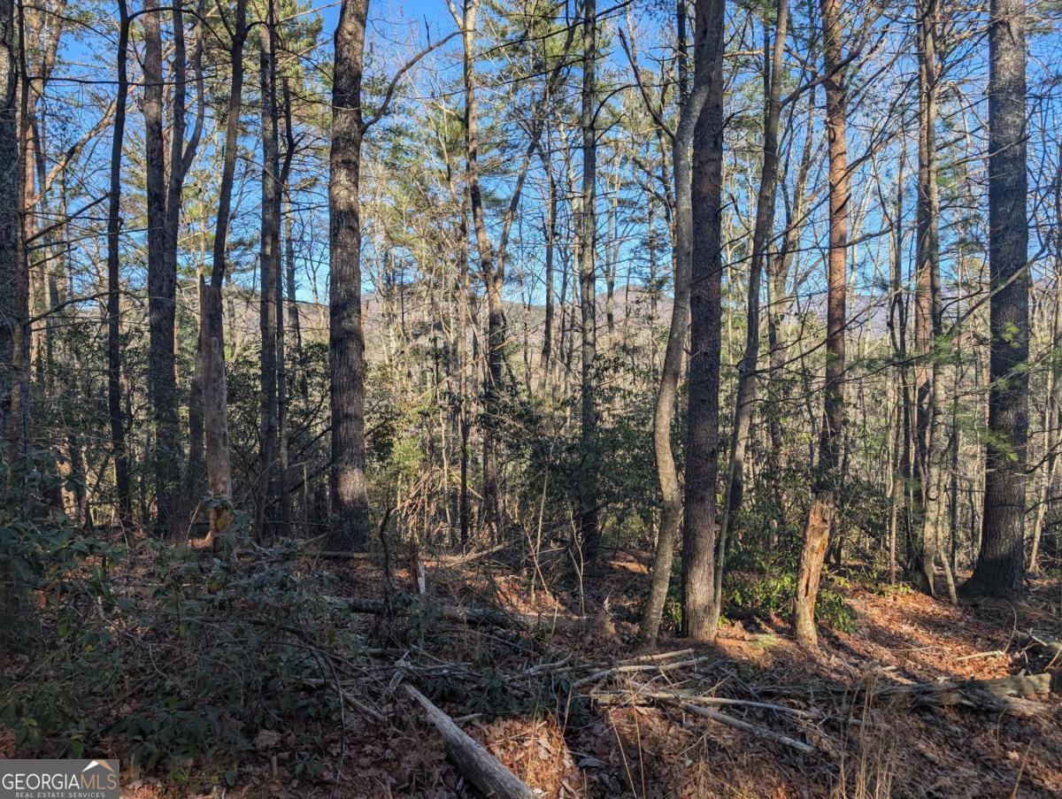 Property Photo: Lot J251 Pine Ridge Court GA 30536