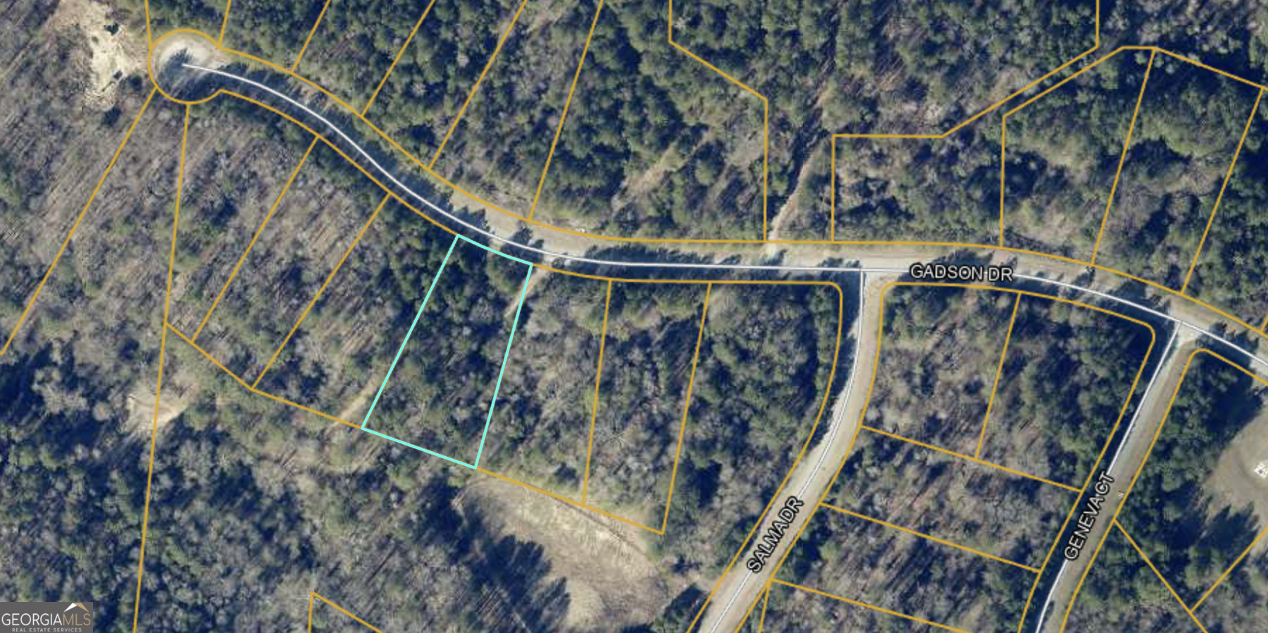 Property Photo: 220 Gadson Drive Lot 46 GA 30214