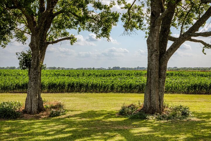 Property Photo:  1923 Beasley West End  TX 77417 