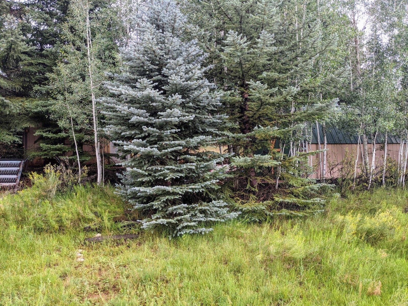 Property Photo: 175 N Apollo Trail UT 84762