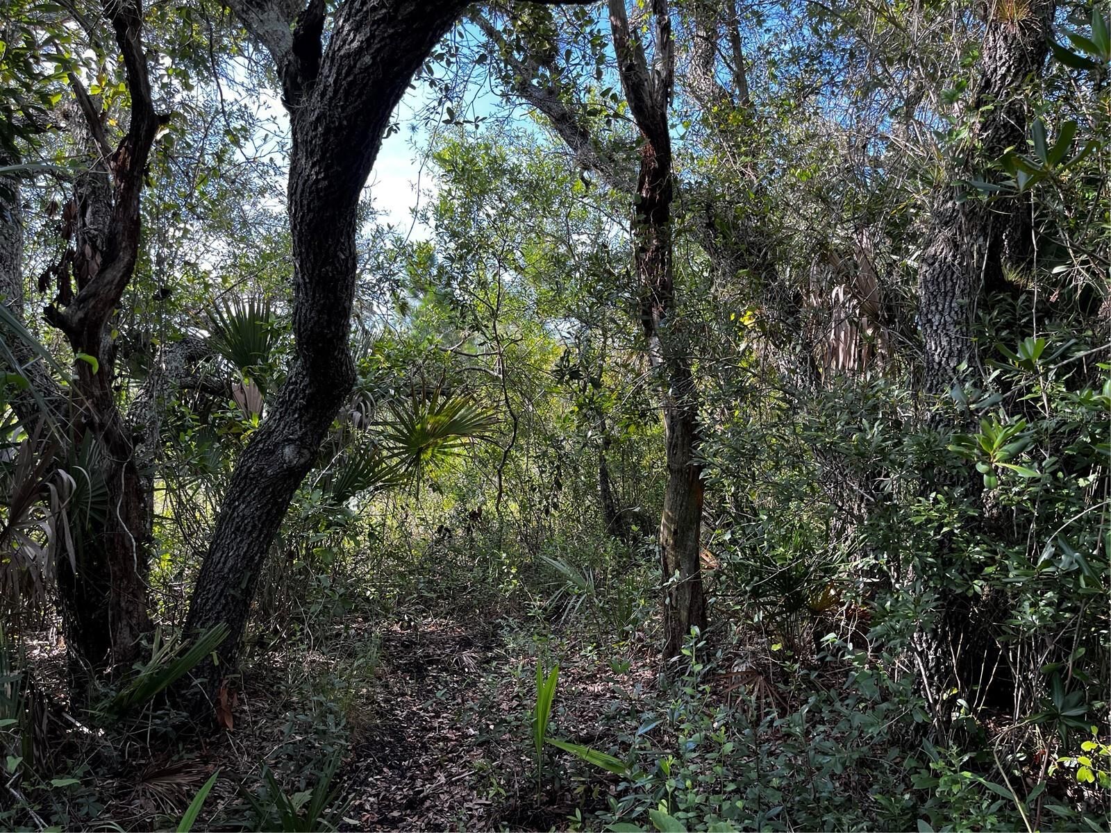 Property Photo: 50204 Bermont Road FL 33982