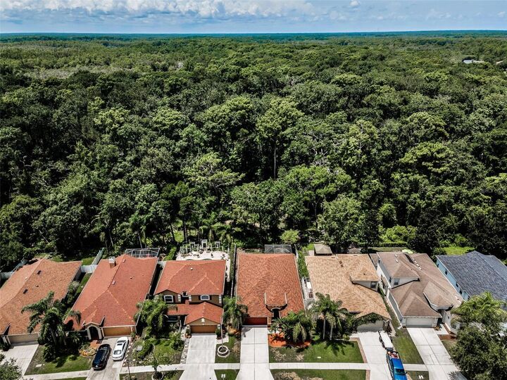 Property Photo:  15762 Cedar Elm Terrace  FL 34638 