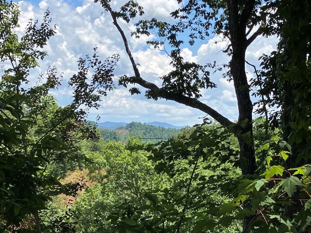 Property Photo: 97 Concord Trail NC 28906