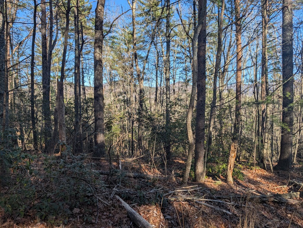 Property Photo: Lot J251 Pine Ridge Court AL 36170