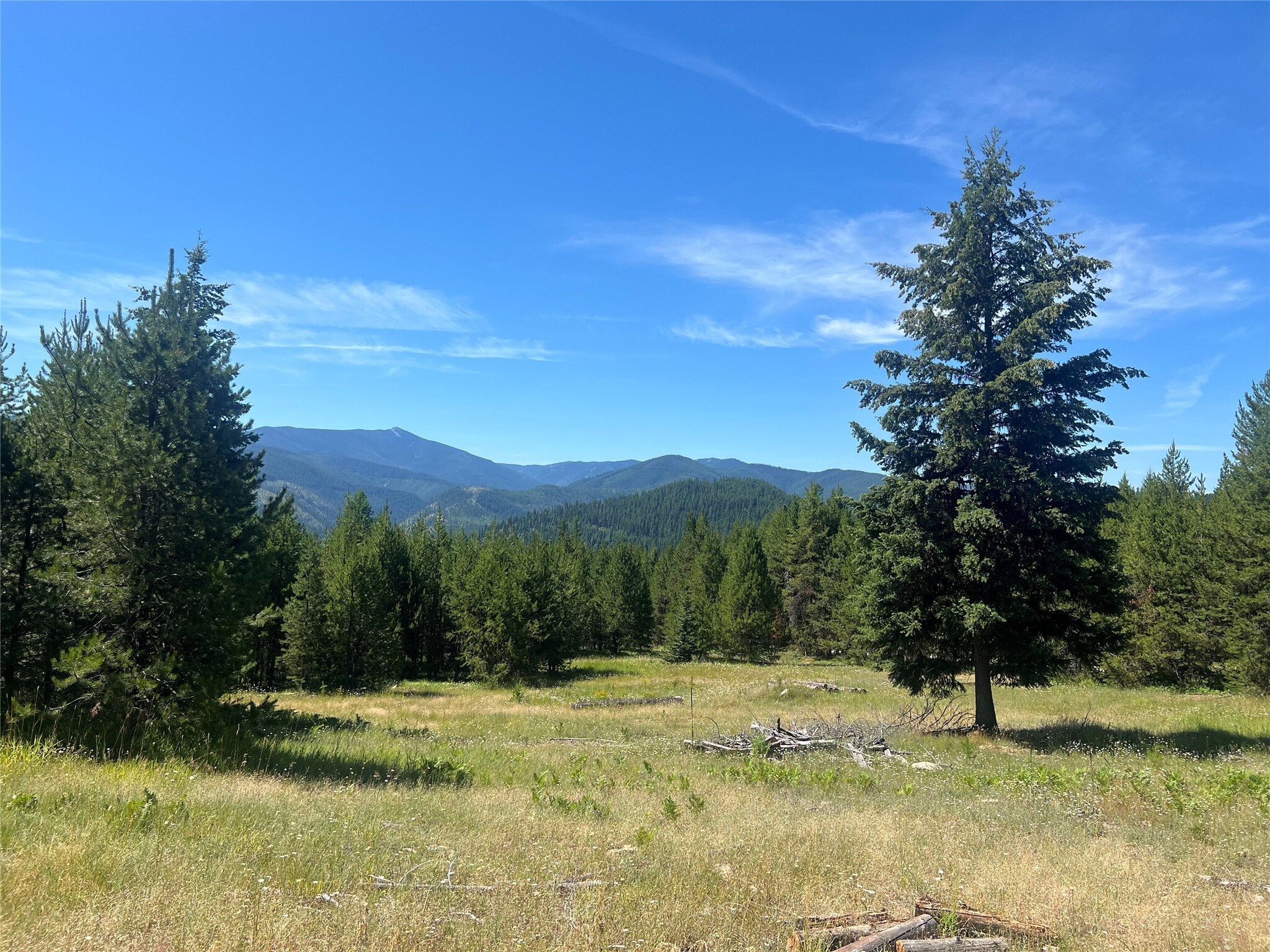 Property Photo:  632 Finley Road  MT 59830 