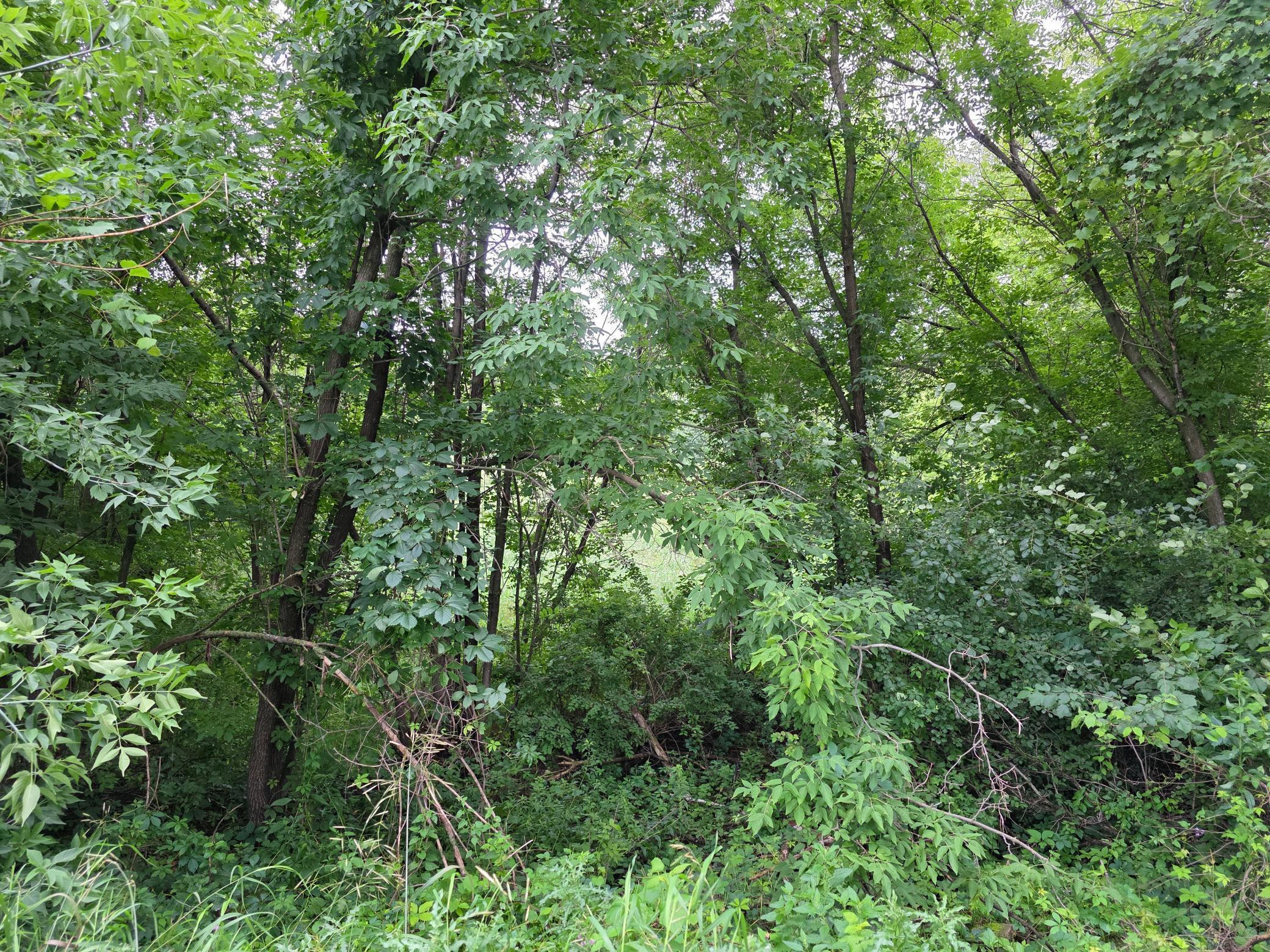 Property Photo:  Tbd Michigan Avenue  MN 56441 