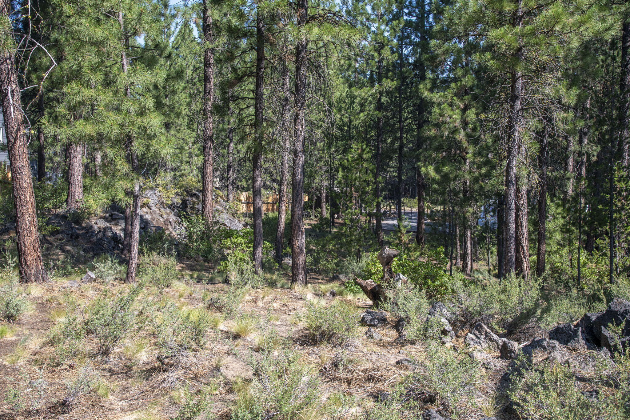 Property Photo: 16945 Jacinto Road OR 97707
