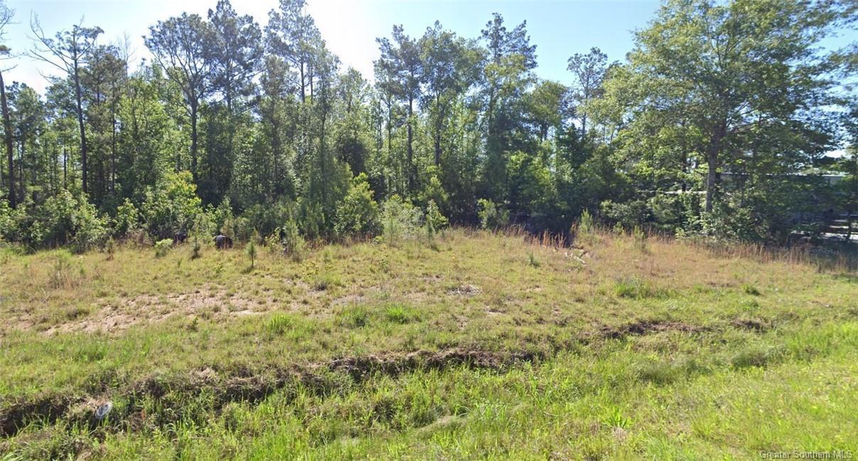 Property Photo: Newt Hodges Rd LA 70657
