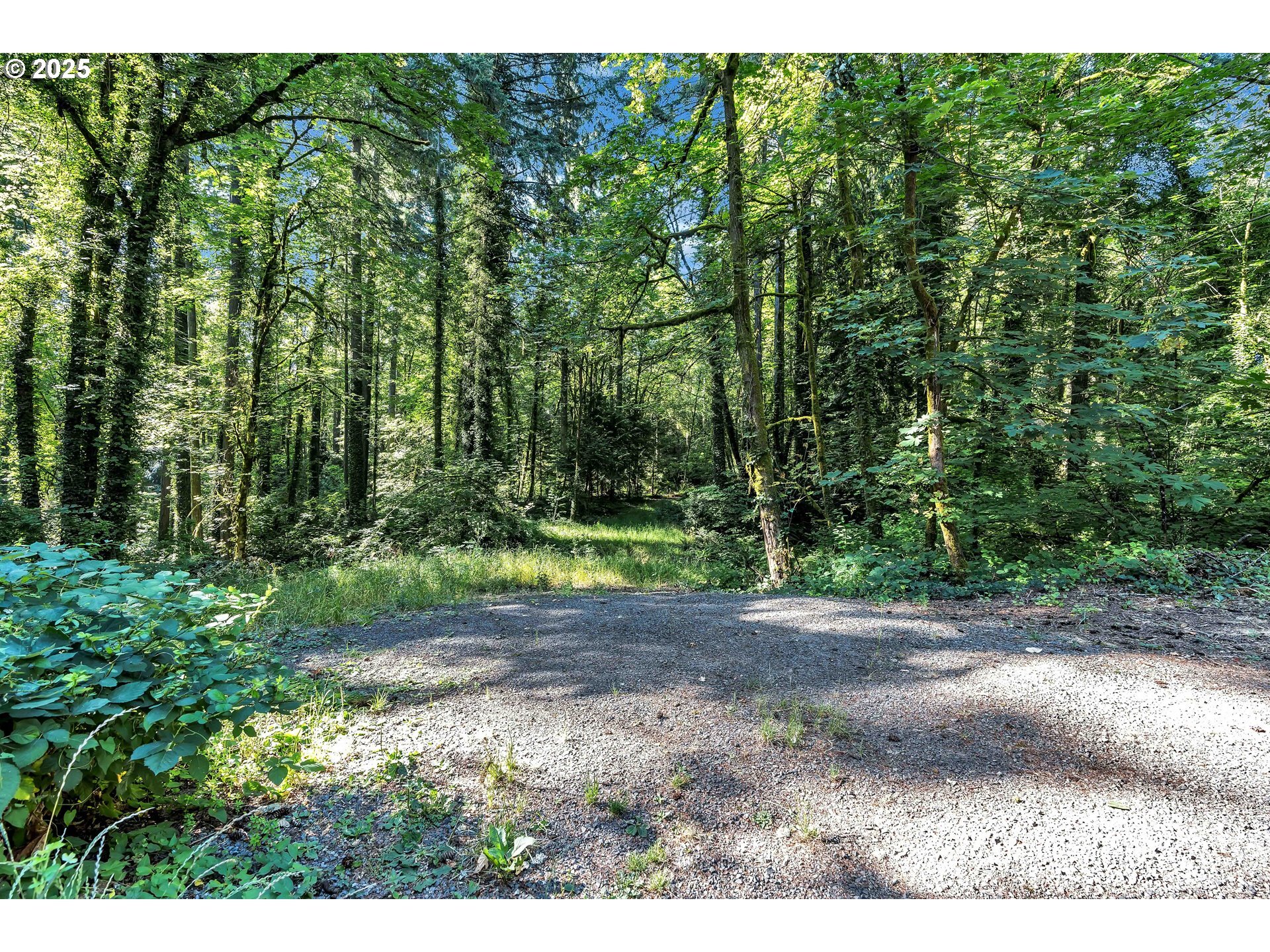 Property Photo: Levy Code 001 OR 97219