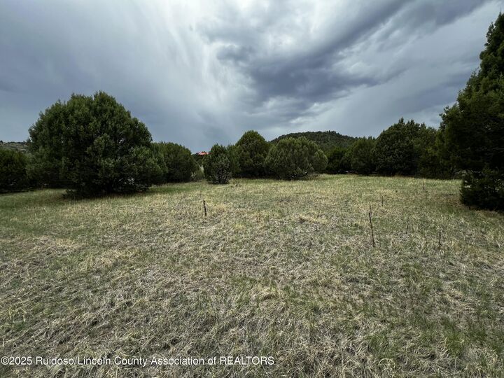 Lot 154 Antler Drive  Alto NM 88312 photo